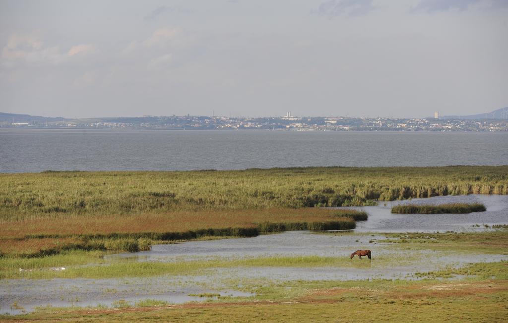 Seewirt & Haus Attila Podersdorf am See Εξωτερικό φωτογραφία